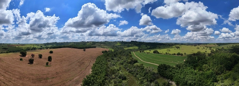 Fazenda em São Paulo - Ótimo preço - LAVOURA - GADO - CANA - LARANJA -: 3ª foto da galeria de imagens do imóvel