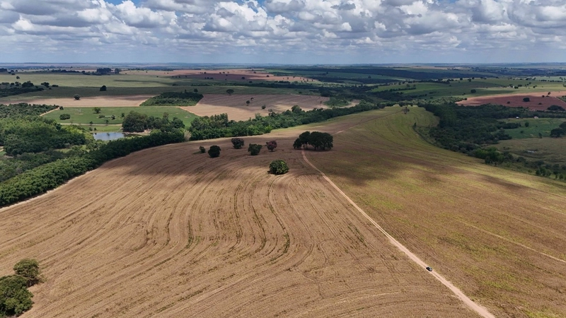 Fazenda em São Paulo - Ótimo preço - LAVOURA - GADO - CANA - LARANJA -: 4ª foto da galeria de imagens do imóvel