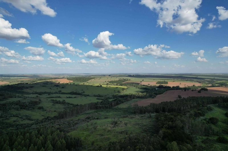 Fazenda em São Paulo - Ótimo preço - LAVOURA - GADO - CANA - LARANJA -: 8ª foto da galeria de imagens do imóvel