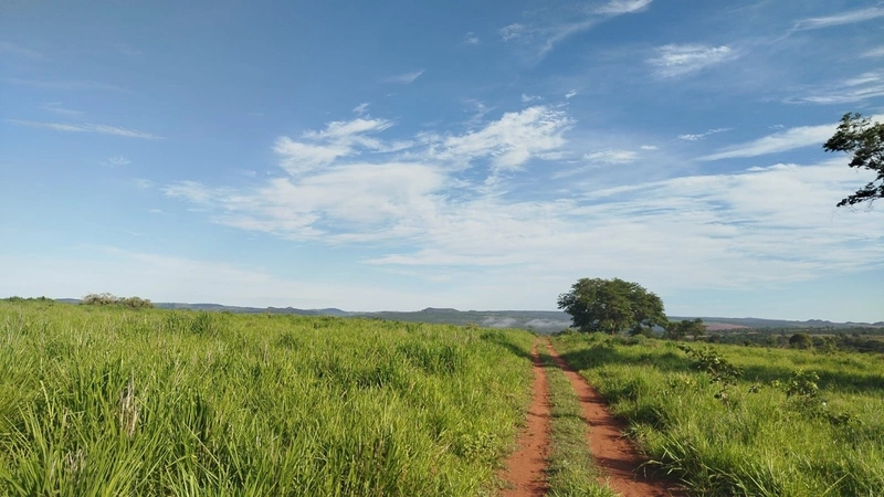 Fazena para ARRENDAMENTO em Iporá-GO: 1ª foto da galeria de imagens do imóvel