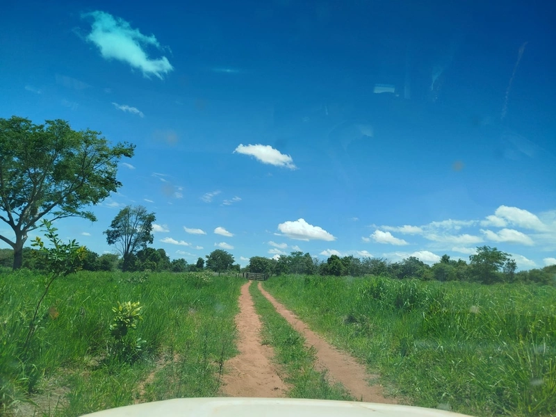 Fazena para ARRENDAMENTO em Iporá-GO: 4ª foto da galeria de imagens do imóvel