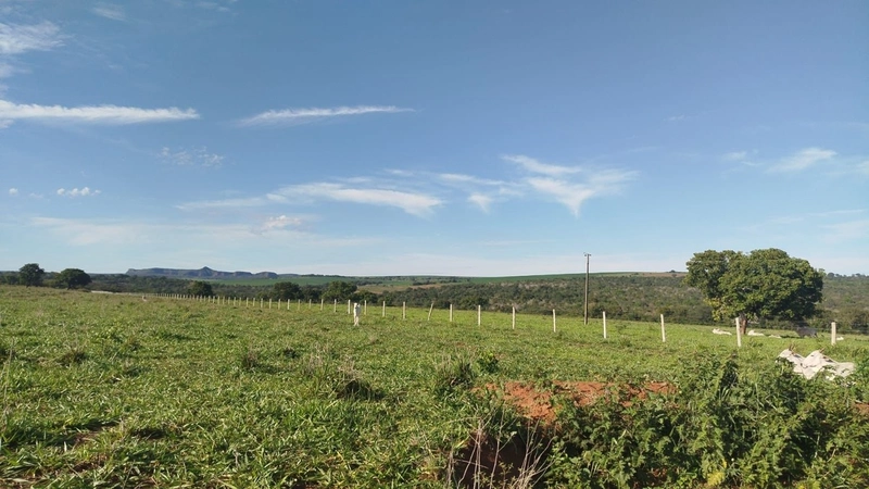 Fazena para ARRENDAMENTO em Iporá-GO: 6ª foto da galeria de imagens do imóvel