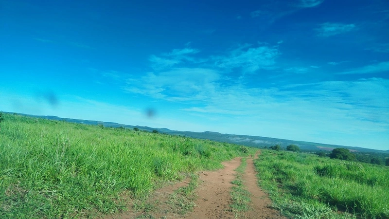 Fazena para ARRENDAMENTO em Iporá-GO: 5ª foto da galeria de imagens do imóvel