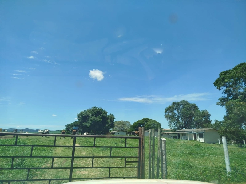 Fazena para ARRENDAMENTO em Iporá-GO: 7ª foto da galeria de imagens do imóvel