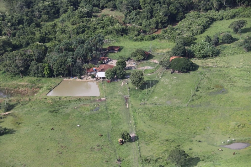 Fazenda à venda, 200 hectares, em Pontalina-GO: 12ª foto da galeria de imagens do imóvel