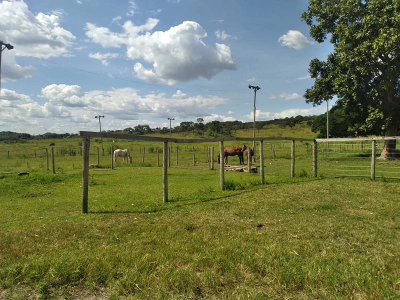 Fazenda à venda, 200 hectares, em Pontalina-GO: 10ª foto da galeria de imagens do imóvel