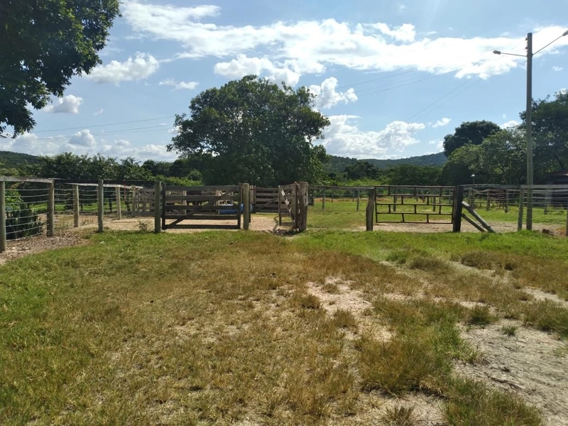 Fazenda à venda, 200 hectares, em Pontalina-GO: 6ª foto da galeria de imagens do imóvel