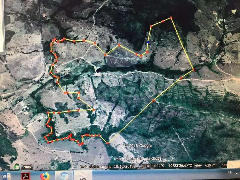 Fazenda à venda, 200 hectares, em Pontalina-GO: 11ª foto da galeria de imagens do imóvel