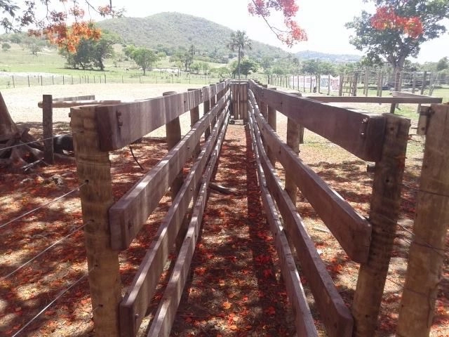 Fazenda à venda, 200 hectares, em Pontalina-GO: 3ª foto da galeria de imagens do imóvel
