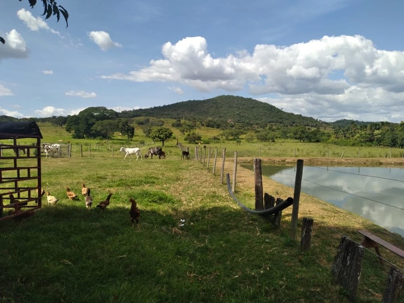 Fazenda à venda, 200 hectares, em Pontalina-GO: 5ª foto da galeria de imagens do imóvel