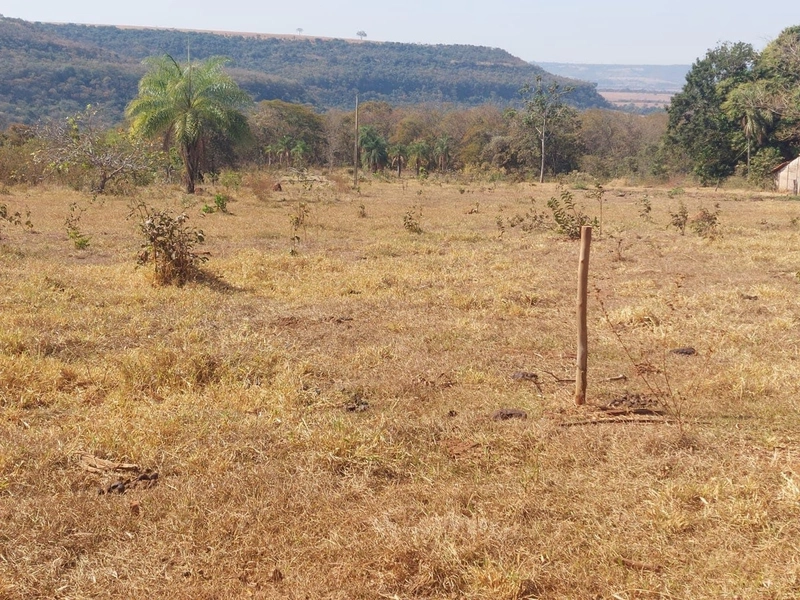 Fazenda à venda, 200 hectares, em Pontalina-GO: 7ª foto da galeria de imagens do imóvel