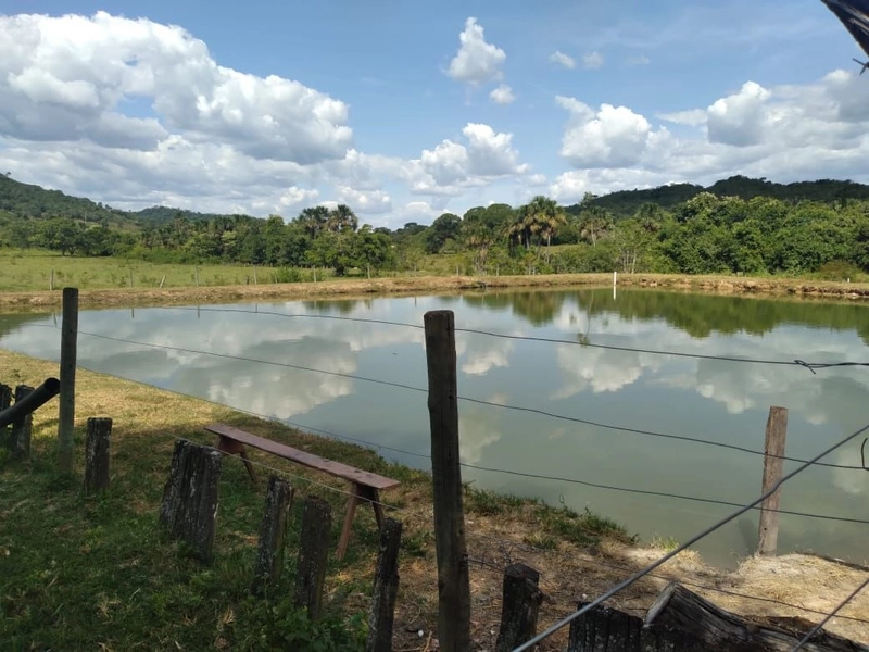 Fazenda à venda, 200 hectares, em Pontalina-GO: 9ª foto da galeria de imagens do imóvel