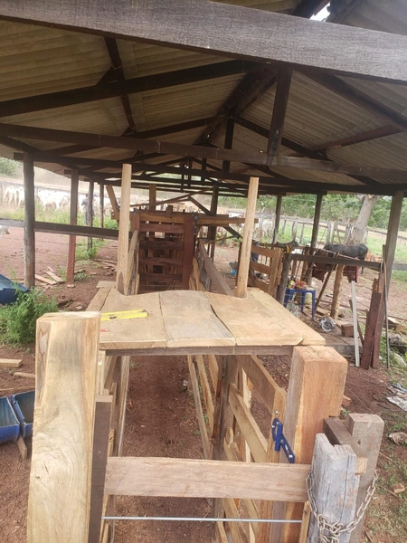 Fazenda a venda em Unaí-MG - 6 km da cidade: 13ª foto da galeria de imagens do imóvel