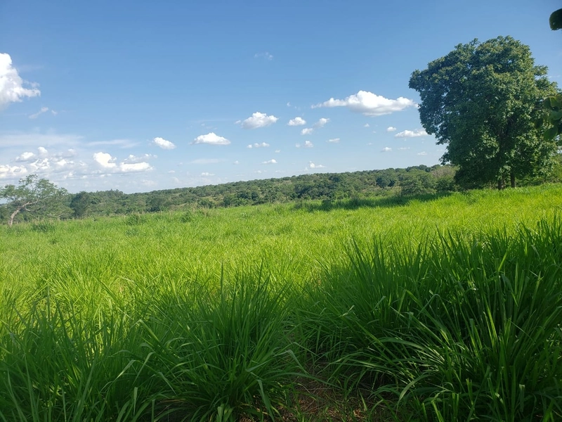 Fazenda a venda em Unaí-MG - 6 km da cidade