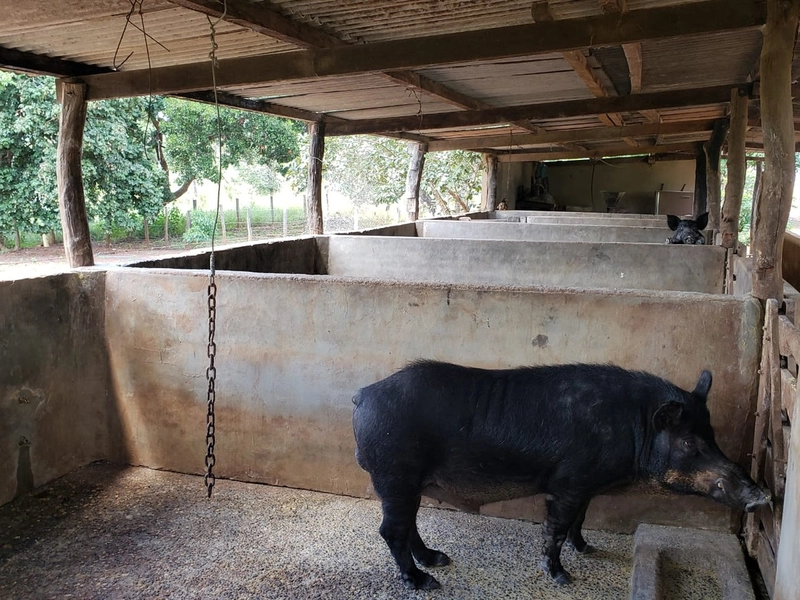 Fazenda a venda em Unaí-MG - 6 km da cidade: 17ª foto da galeria de imagens do imóvel
