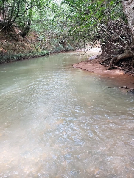 Fazenda a venda em Unaí-MG - 6 km da cidade: 18ª foto da galeria de imagens do imóvel