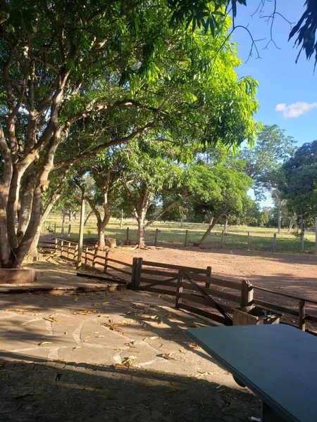 Fazenda a venda em Unaí-MG - 6 km da cidade: 4ª foto da galeria de imagens do imóvel