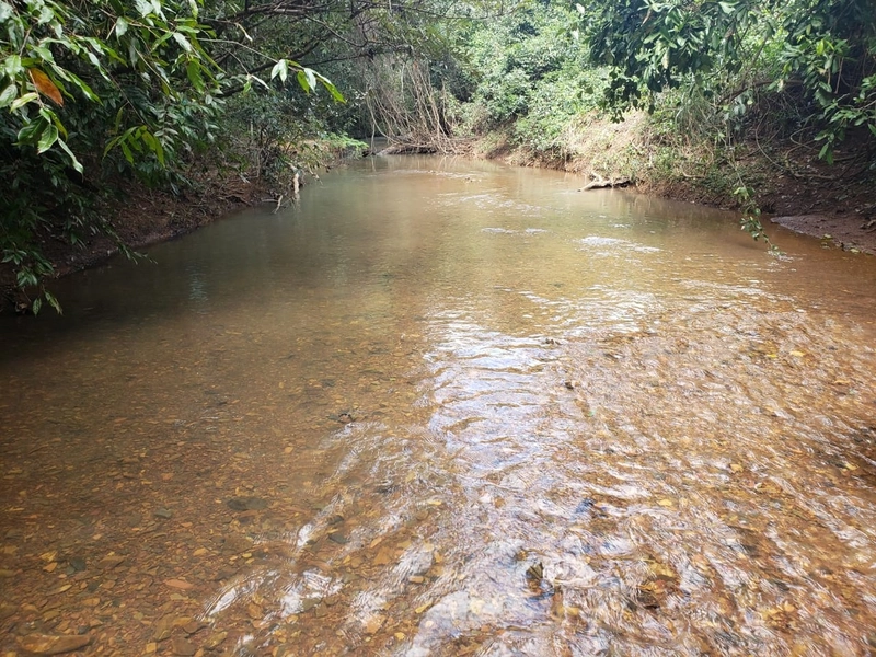 Fazenda a venda em Unaí-MG - 6 km da cidade: 19ª foto da galeria de imagens do imóvel