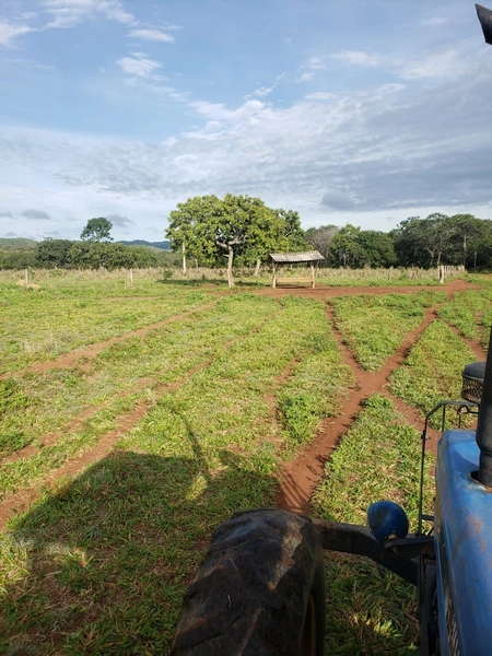 Fazenda a venda em Unaí-MG - 6 km da cidade: 15ª foto da galeria de imagens do imóvel