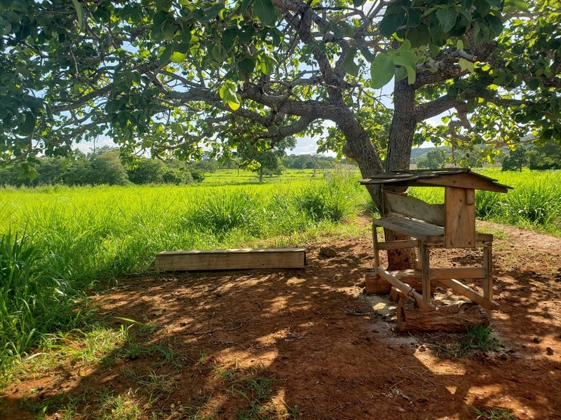 Fazenda a venda em Unaí-MG - 6 km da cidade: 16ª foto da galeria de imagens do imóvel