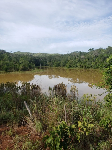 Fazenda a venda em Unaí-MG - 6 km da cidade: 8ª foto da galeria de imagens do imóvel