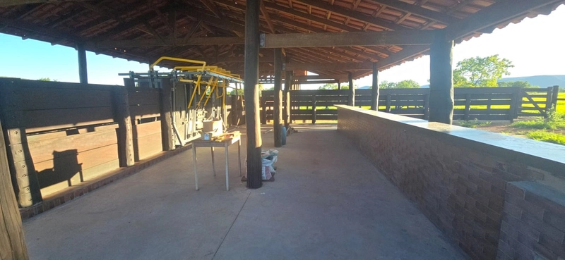 Arrendamento para PECUÁRIA - Em Formosa-GO: 13ª foto da galeria de imagens do imóvel