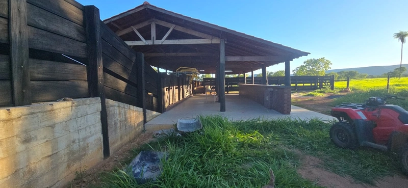 Arrendamento para PECUÁRIA - Em Formosa-GO: 9ª foto da galeria de imagens do imóvel