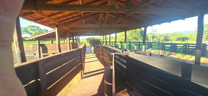 Arrendamento para PECUÁRIA - Em Formosa-GO: 19ª foto da galeria de imagens do imóvel