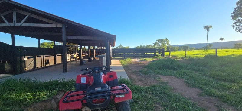 Arrendamento para PECUÁRIA - Em Formosa-GO: 8ª foto da galeria de imagens do imóvel
