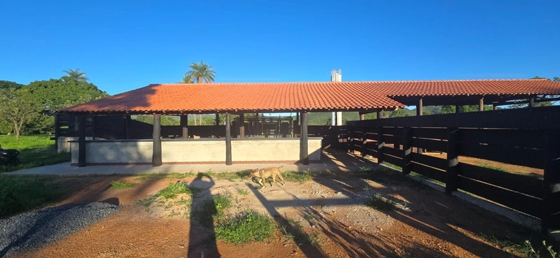 Arrendamento para PECUÁRIA - Em Formosa-GO: 16ª foto da galeria de imagens do imóvel