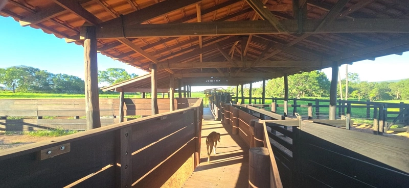 Arrendamento para PECUÁRIA - Em Formosa-GO: 11ª foto da galeria de imagens do imóvel
