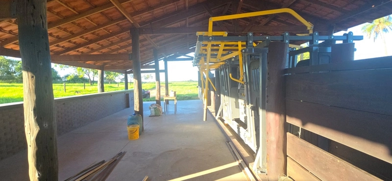 Arrendamento para PECUÁRIA - Em Formosa-GO: 7ª foto da galeria de imagens do imóvel