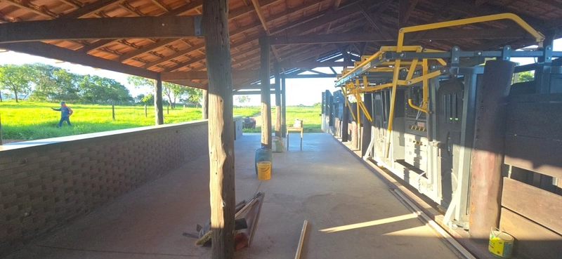 Arrendamento para PECUÁRIA - Em Formosa-GO: 6ª foto da galeria de imagens do imóvel