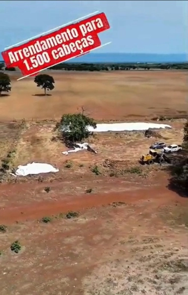 Fazenda para ARRENDAMENTO em Formosa-GO | PECUÁRIA-AGRICULTURA: 5ª foto da galeria de imagens do imóvel