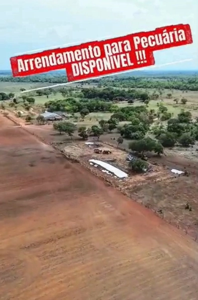 Fazenda para ARRENDAMENTO em Formosa-GO | PECUÁRIA-AGRICULTURA: 3ª foto da galeria de imagens do imóvel