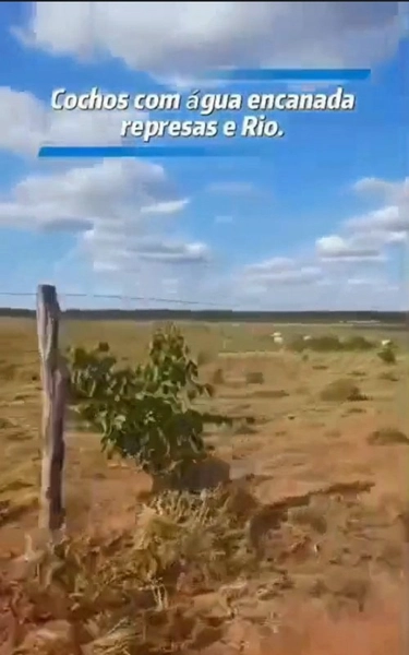 Fazenda para ARRENDAMENTO em Formosa-GO | PECUÁRIA-AGRICULTURA: 7ª foto da galeria de imagens do imóvel