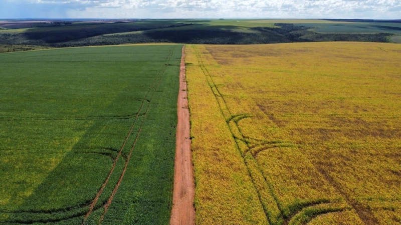 : 8ª foto da galeria de imagens do imóvel