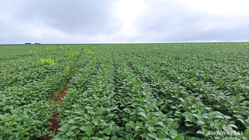 : 3ª foto da galeria de imagens do imóvel