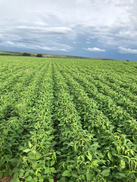 : 5ª foto da galeria de imagens do imóvel