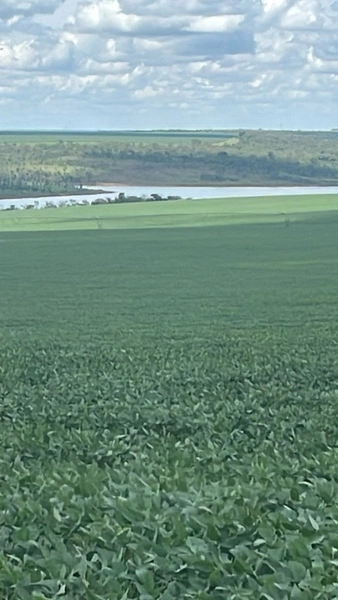Fazenda com pivôs em Cristalina - GO | SOJA-CAFÈ: 5ª foto da galeria de imagens do imóvel