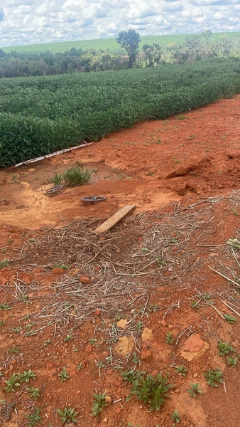 Fazenda com pivôs em Cristalina - GO | SOJA-CAFÈ: 9ª foto da galeria de imagens do imóvel