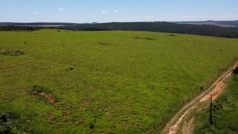 Fazenda para SOJA - LARANJA - CAFÉ em Ipameri-GO/Cristalina - GO: 7ª foto da galeria de imagens do imóvel