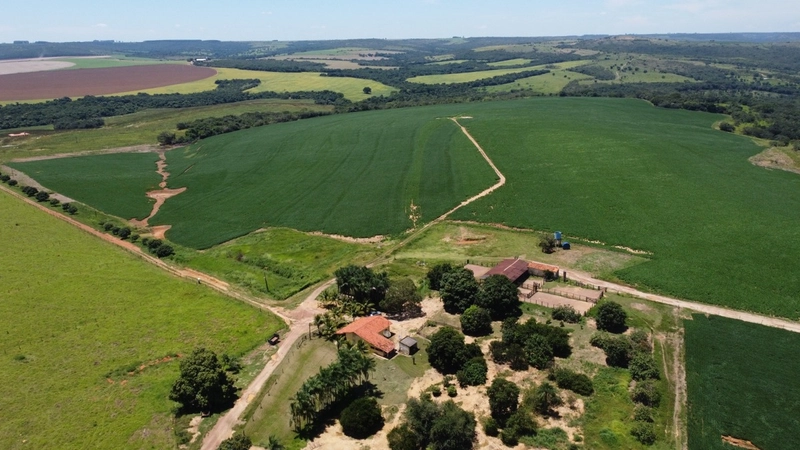 Fazenda para SOJA - LARANJA - CAFÉ em Ipameri-GO/Cristalina - GO: 1ª foto da galeria de imagens do imóvel