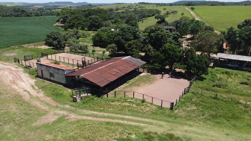 Fazenda para SOJA - LARANJA - CAFÉ em Ipameri-GO/Cristalina - GO: 10ª foto da galeria de imagens do imóvel