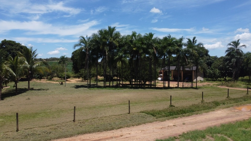 Fazenda para SOJA - LARANJA - CAFÉ em Ipameri-GO/Cristalina - GO: 12ª foto da galeria de imagens do imóvel