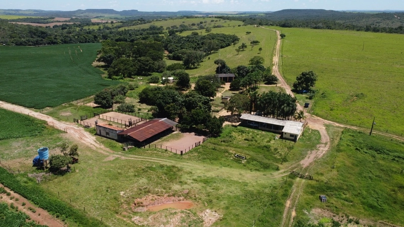 Fazenda para SOJA - LARANJA - CAFÉ em Ipameri-GO/Cristalina - GO: 4ª foto da galeria de imagens do imóvel