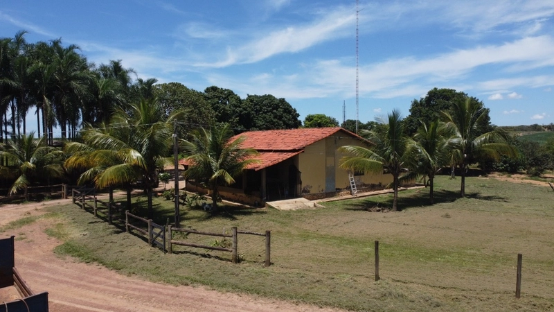 Fazenda para SOJA - LARANJA - CAFÉ em Ipameri-GO/Cristalina - GO: 13ª foto da galeria de imagens do imóvel