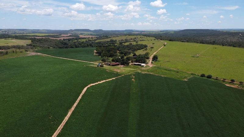 Fazenda para SOJA - LARANJA - CAFÉ em Ipameri-GO/Cristalina - GO: 11ª foto da galeria de imagens do imóvel
