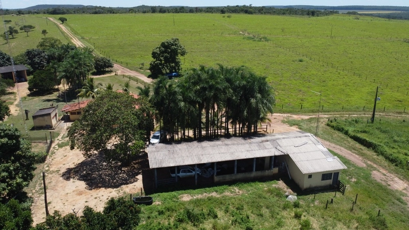 Fazenda para SOJA - LARANJA - CAFÉ em Ipameri-GO/Cristalina - GO: 9ª foto da galeria de imagens do imóvel