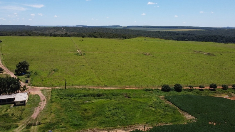 Fazenda para SOJA - LARANJA - CAFÉ em Ipameri-GO/Cristalina - GO: 16ª foto da galeria de imagens do imóvel